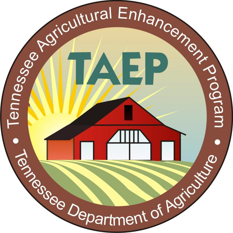 TAEP logo 