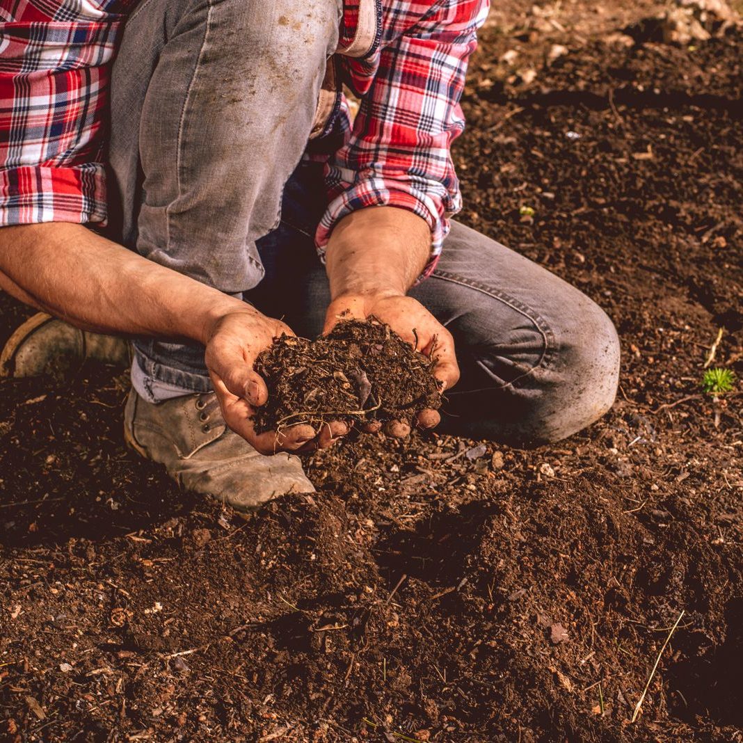 Man holding soil from the ground 